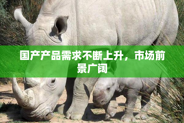 国产产品需求不断上升，市场前景广阔