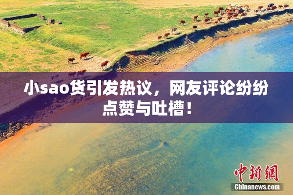 小sao货引发热议，网友评论纷纷点赞与吐槽！