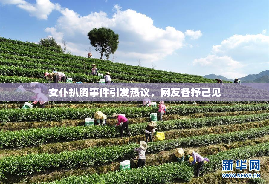 女仆扒胸事件引发热议，网友各抒己见
