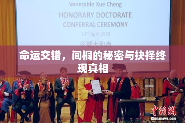 命运交错，间桐的秘密与抉择终现真相