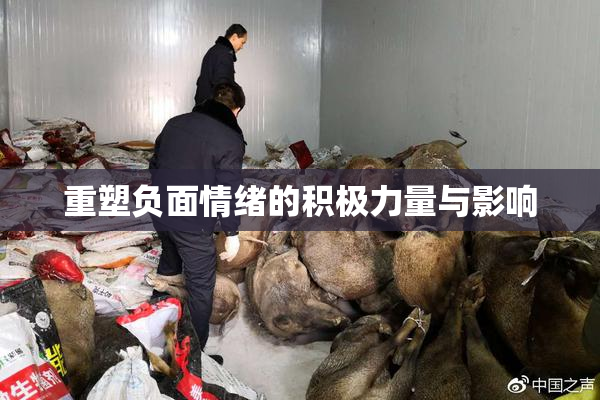 重塑负面情绪的积极力量与影响