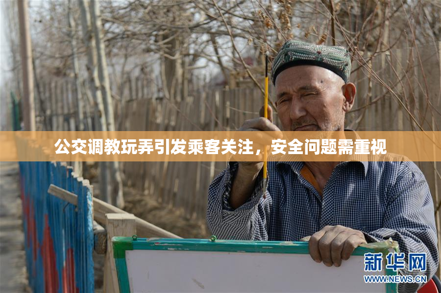 公交调教玩弄引发乘客关注，安全问题需重视