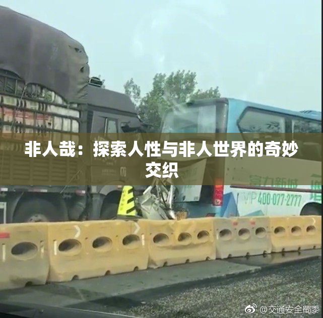 非人哉：探索人性与非人世界的奇妙交织