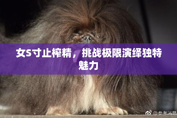 女S寸止榨精，挑战极限演绎独特魅力