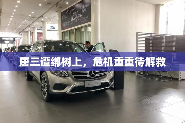 唐三遭绑树上，危机重重待解救