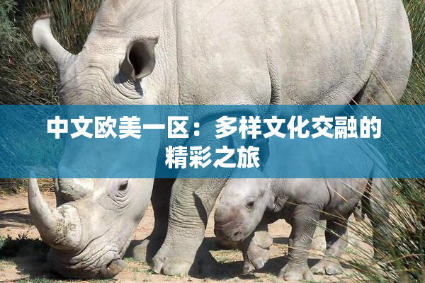 中文欧美一区：多样文化交融的精彩之旅
