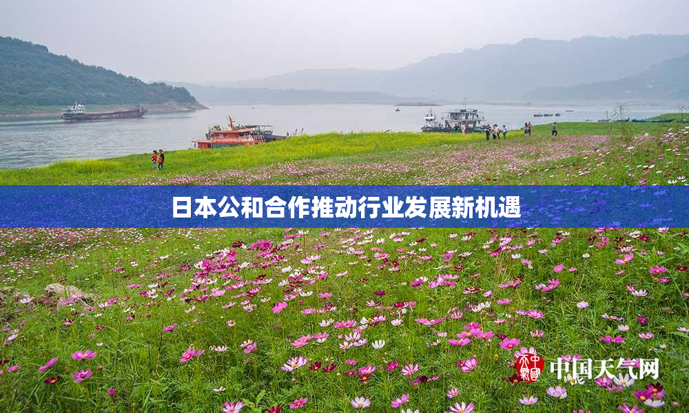 日本公和合作推动行业发展新机遇