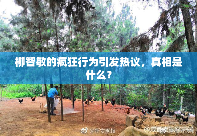 柳智敏的疯狂行为引发热议，真相是什么？