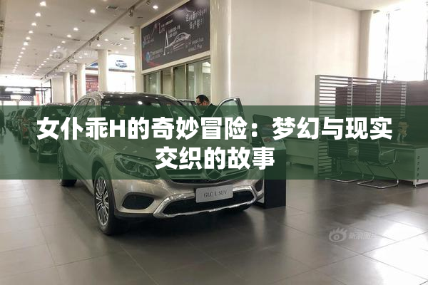 女仆乖H的奇妙冒险：梦幻与现实交织的故事