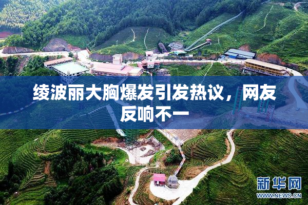 绫波丽大胸爆发引发热议，网友反响不一