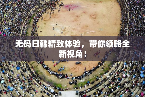 无码日韩精致体验，带你领略全新视角！