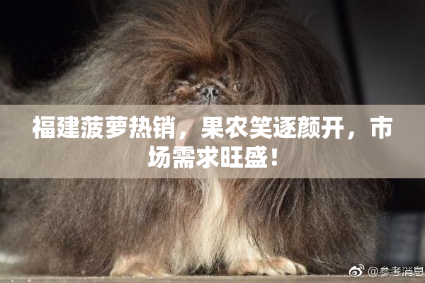 福建菠萝热销，果农笑逐颜开，市场需求旺盛！