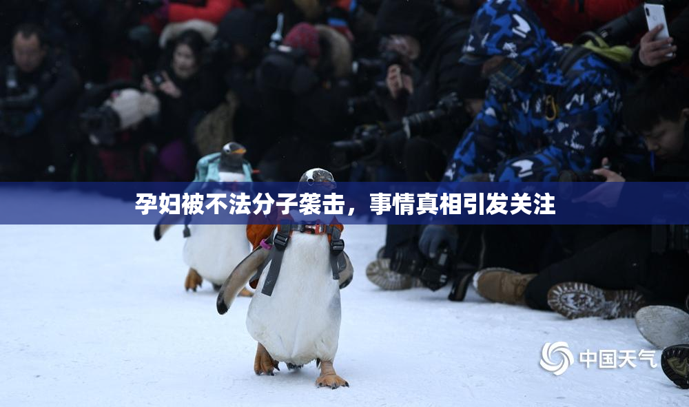 孕妇被不法分子袭击，事情真相引发关注