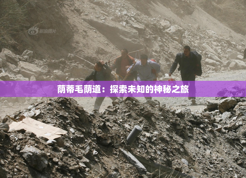荫蒂毛荫道：探索未知的神秘之旅