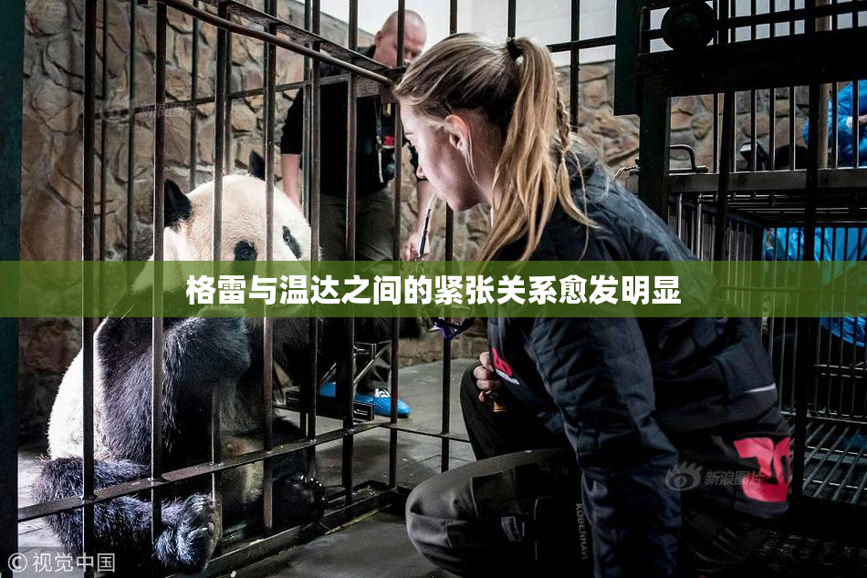 格雷与温达之间的紧张关系愈发明显