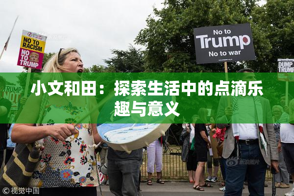 小文和田：探索生活中的点滴乐趣与意义