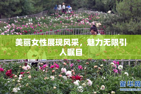 美丽女性展现风采，魅力无限引人瞩目