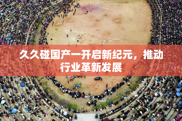 久久碰国产一开启新纪元，推动行业革新发展