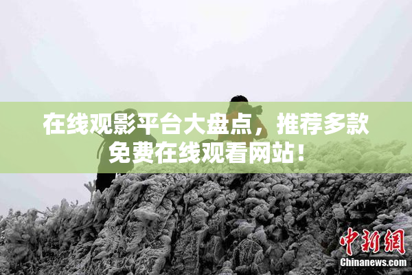 在线观影平台大盘点，推荐多款免费在线观看网站！