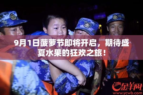 9月1日菠萝节即将开启，期待盛夏水果的狂欢之旅！