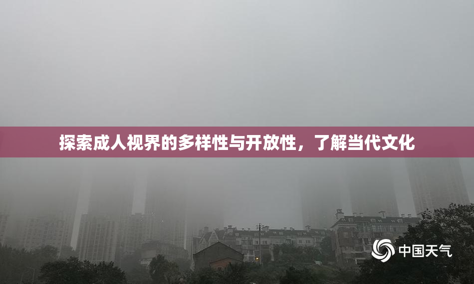 探索成人视界的多样性与开放性，了解当代文化
