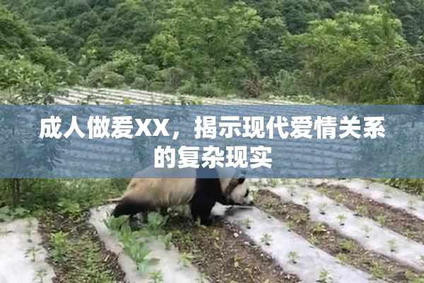 成人做爰XX，揭示现代爱情关系的复杂现实