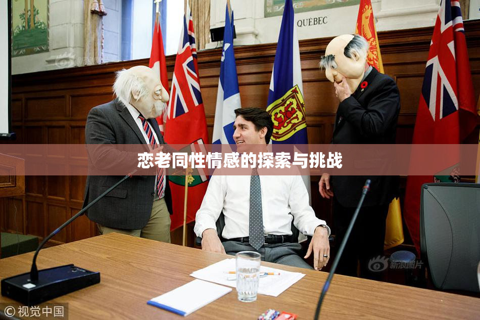 恋老同性情感的探索与挑战