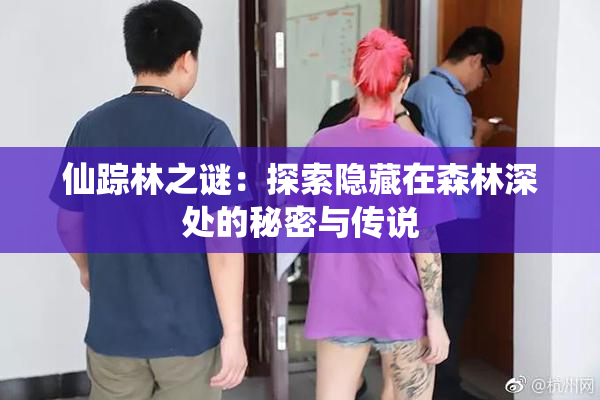 仙踪林之谜：探索隐藏在森林深处的秘密与传说