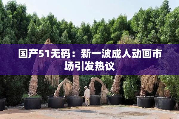 国产51无码：新一波成人动画市场引发热议