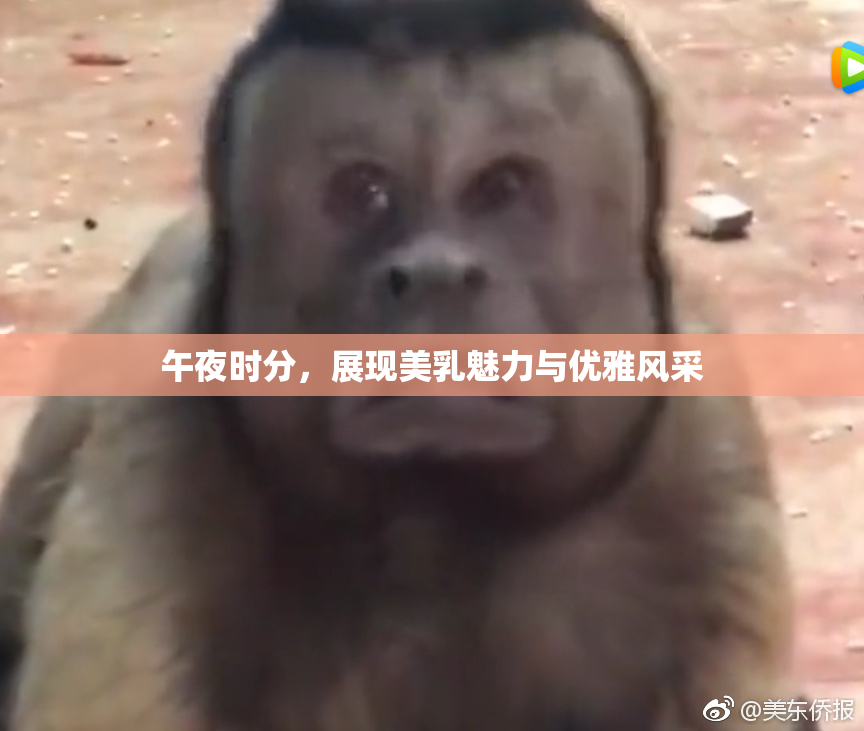 午夜时分，展现美乳魅力与优雅风采