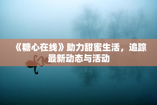 《糖心在线》助力甜蜜生活，追踪最新动态与活动