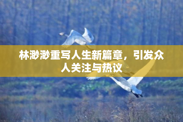林渺渺重写人生新篇章，引发众人关注与热议