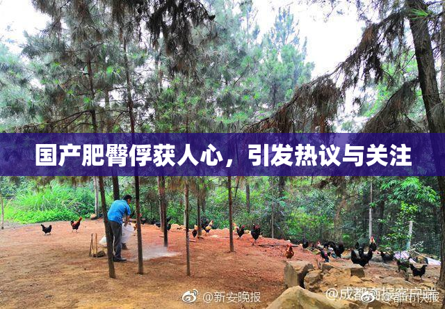 国产肥臀俘获人心，引发热议与关注