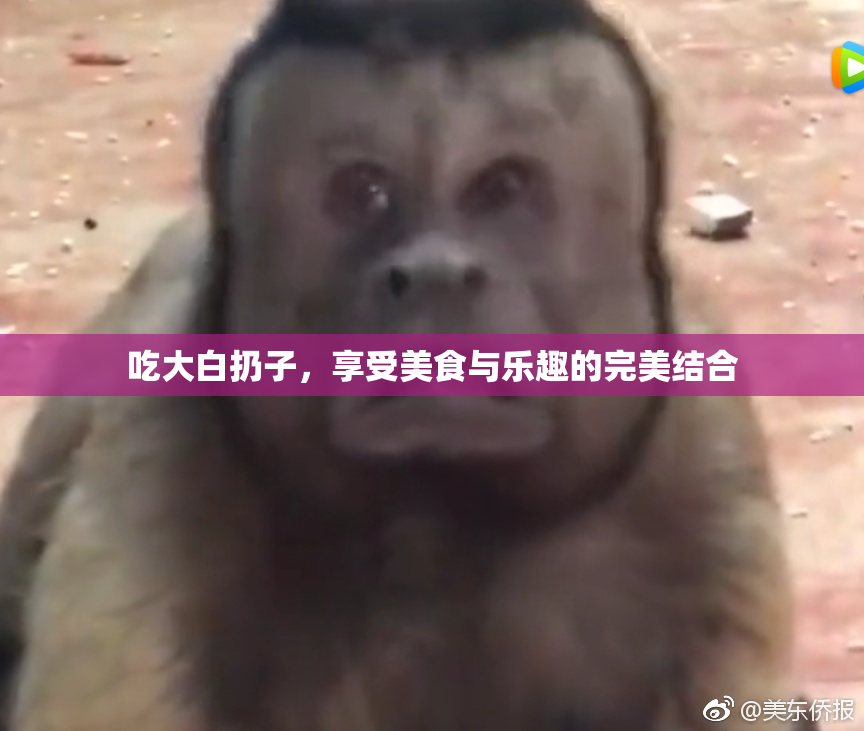 吃大白扔子，享受美食与乐趣的完美结合