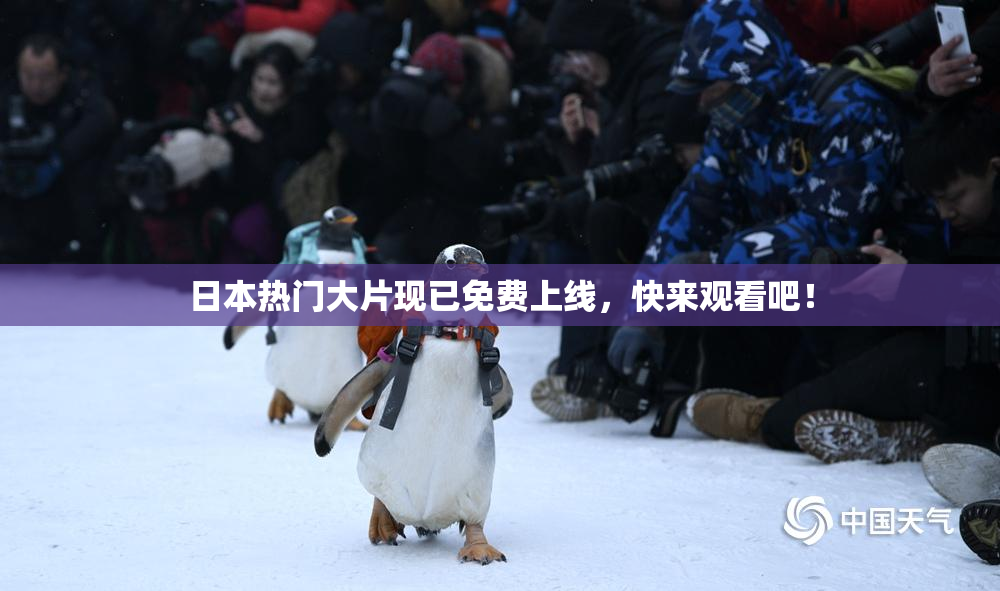 日本热门大片现已免费上线，快来观看吧！