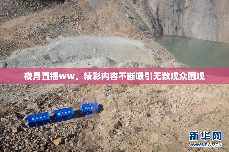 夜月直播ww，精彩内容不断吸引无数观众围观