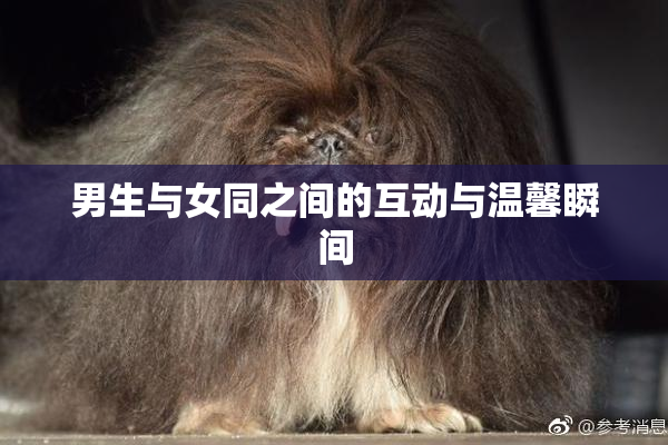 男生与女同之间的互动与温馨瞬间