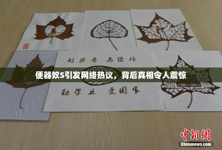 便器奴S引发网络热议，背后真相令人震惊