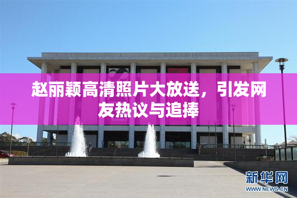 赵丽颖高清照片大放送，引发网友热议与追捧