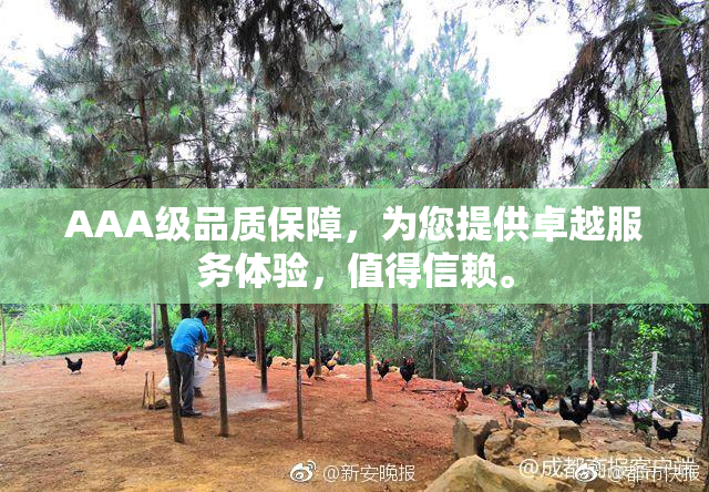 AAA级品质保障，为您提供卓越服务体验，值得信赖。