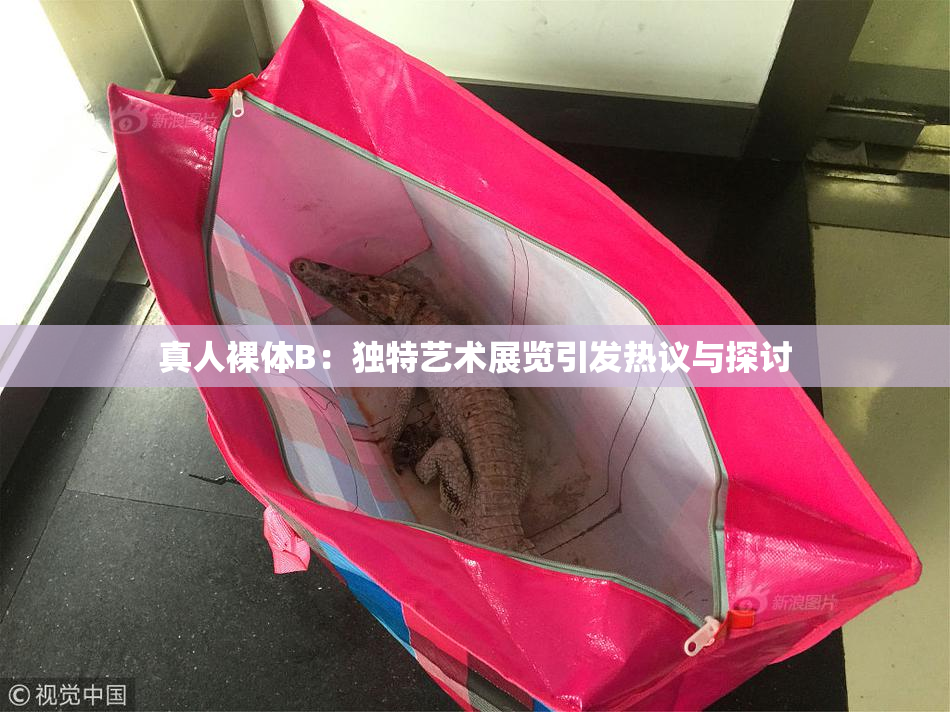真人裸体B：独特艺术展览引发热议与探讨