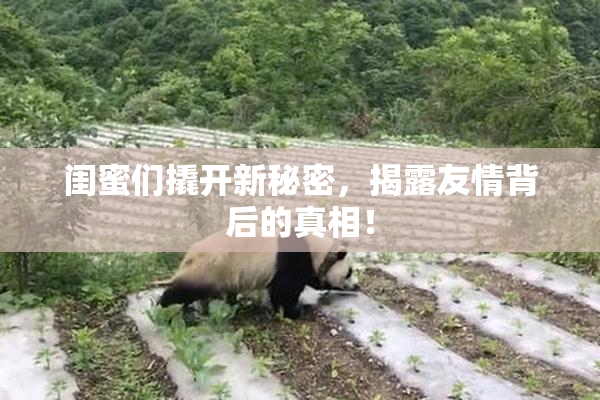 闺蜜们撬开新秘密，揭露友情背后的真相！