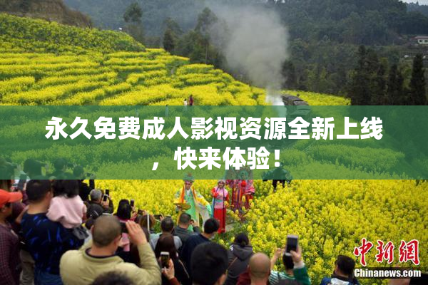 永久免费成人影视资源全新上线，快来体验！