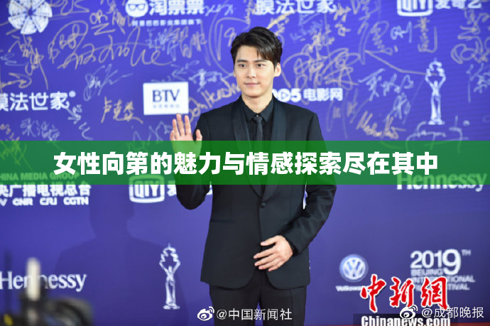 女性向第的魅力与情感探索尽在其中
