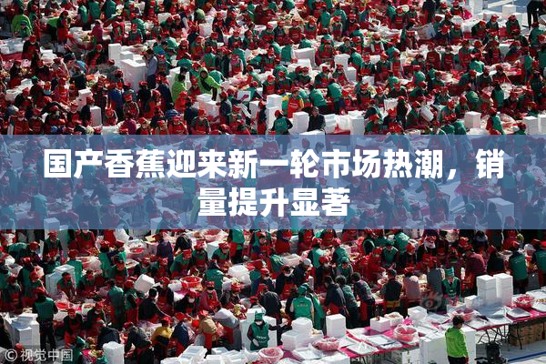 国产香蕉迎来新一轮市场热潮，销量提升显著