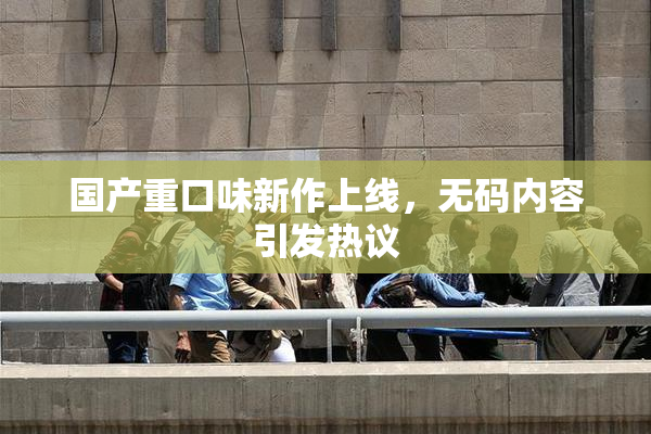 国产重口味新作上线，无码内容引发热议