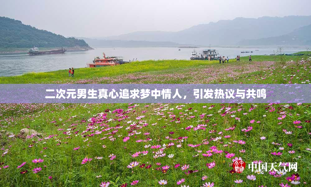 二次元男生真心追求梦中情人，引发热议与共鸣