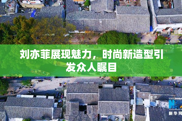 刘亦菲展现魅力，时尚新造型引发众人瞩目
