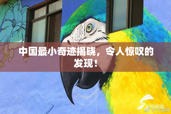 中国最小奇迹揭晓，令人惊叹的发现！