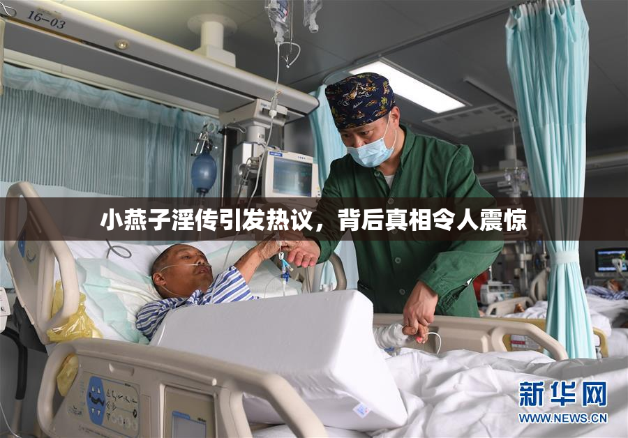 小燕子淫传引发热议，背后真相令人震惊
